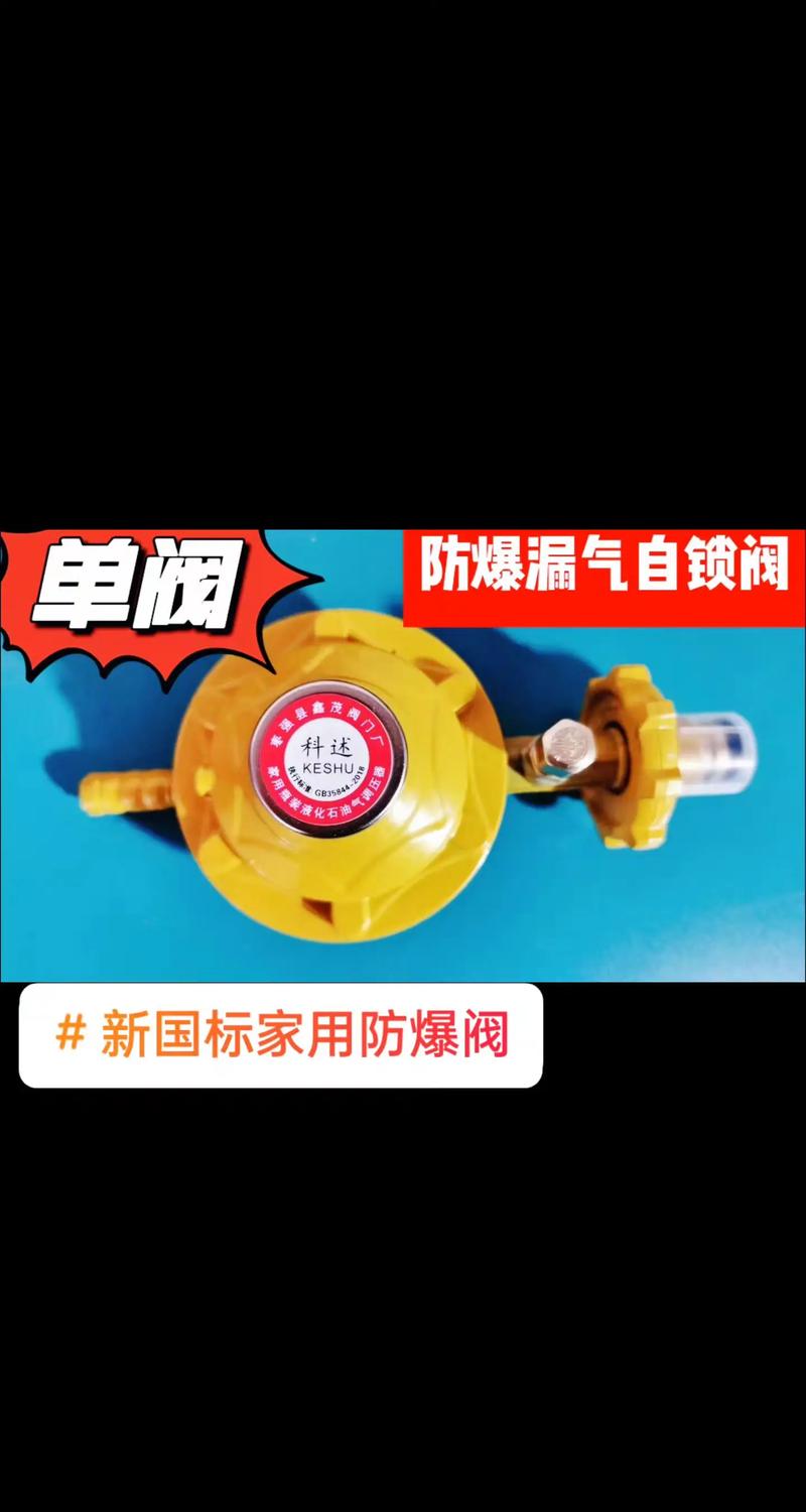 天然气减压阀进口品牌怎么选?-图3 天然气减压阀进口品牌怎么选?-图3