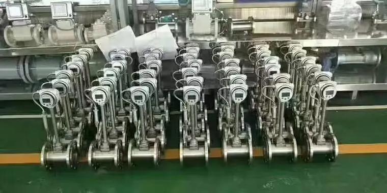 罗茨流量计是哪个品牌？-图3
