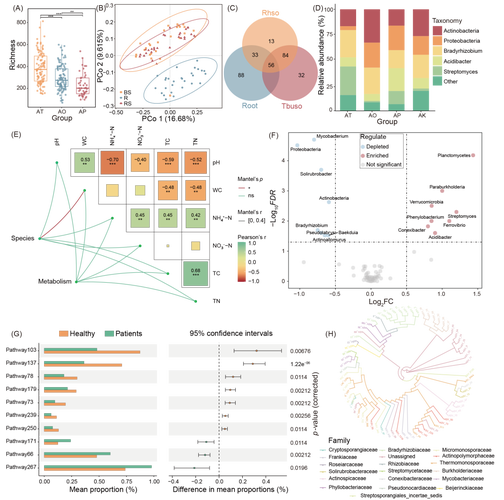 图像数据特征分析技术如何高效应用？-图1