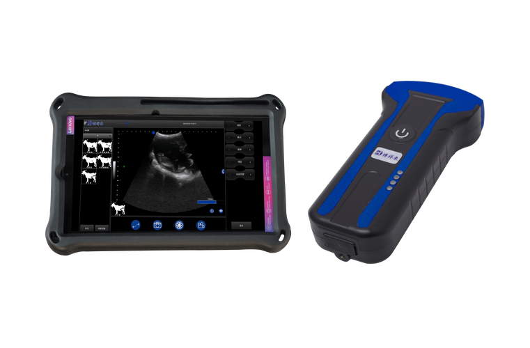 图像数据特征分析技术如何高效应用？-图3