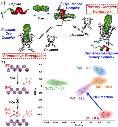 STS技术如何实现发送分集？-图2