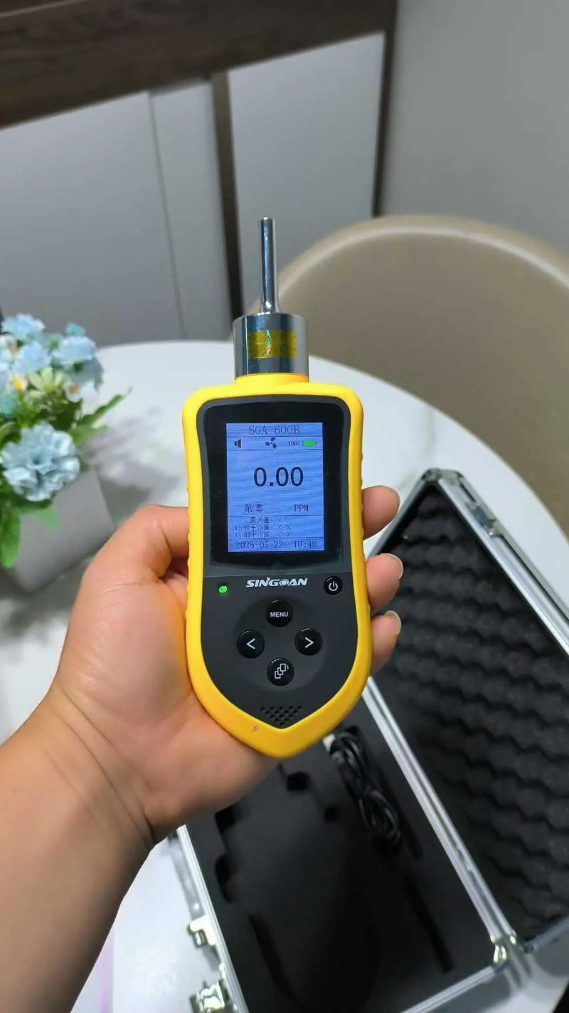 磷化氢毒气报警仪品牌哪个好？-图1