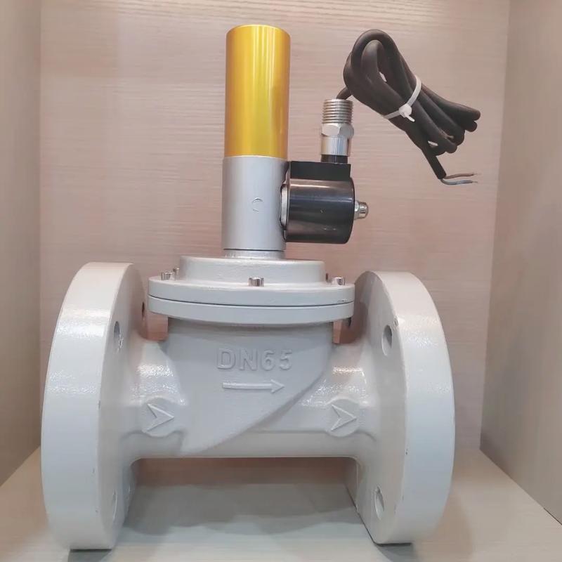 水用电磁阀哪个品牌更可靠？-图2