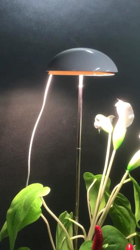 LED灯如何科学助力植物生长?-图3 LED灯如何科学助力植物生长?-图3