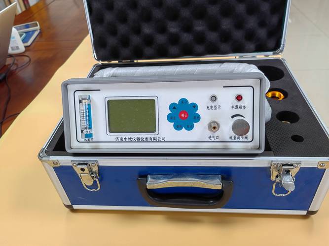 发电厂真空检漏仪品牌哪个好？-图2