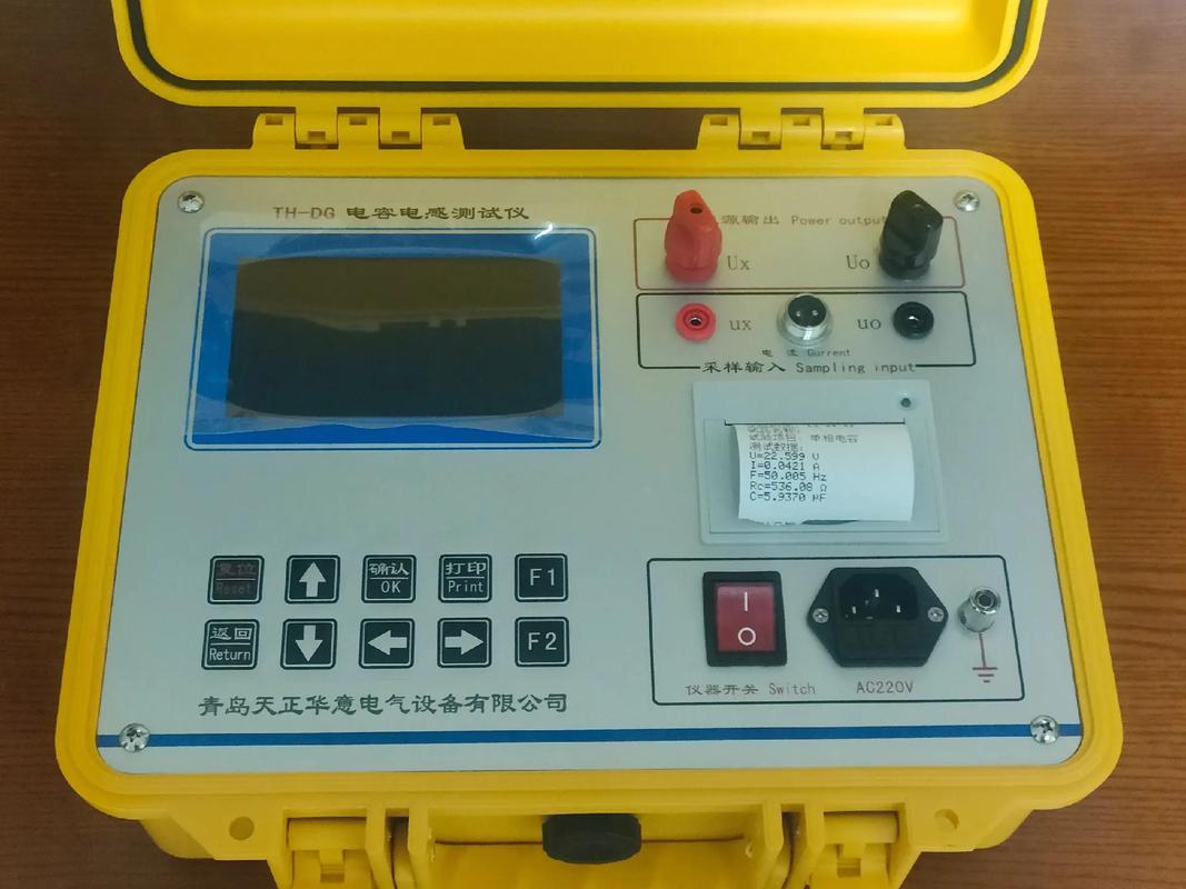 发电厂真空检漏仪品牌哪个好？-图3