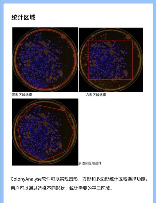 菌落计数器品牌怎么选？-图3