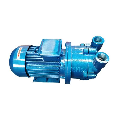 世界水环式真空泵品牌有哪些?-图2 世界水环式真空泵品牌有哪些?-图2