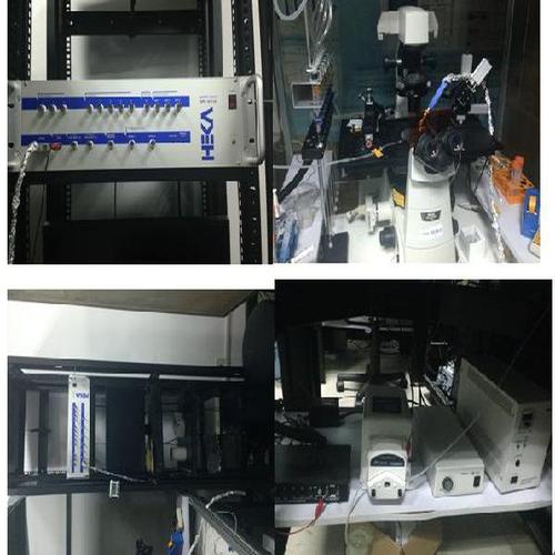 进口膜片钳放大器品牌哪个好?-图2 进口膜片钳放大器品牌哪个好?-图2