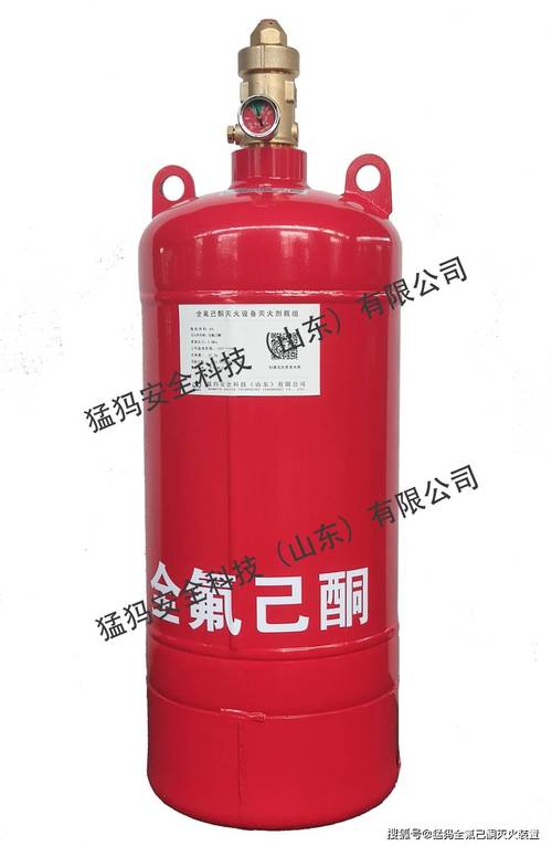 美国CO2灭火器品牌有哪些？-图3