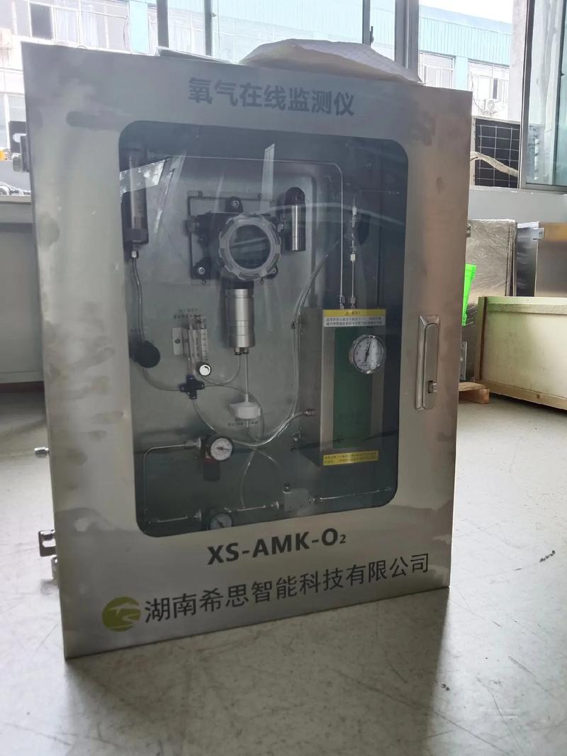 进口氧含量分析仪品牌哪个好？-图1