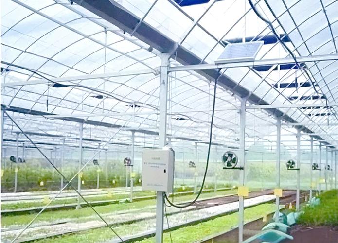 温室大棚温度监测技术如何精准控温?-图1 温室大棚温度监测技术如何精准控温?-图1