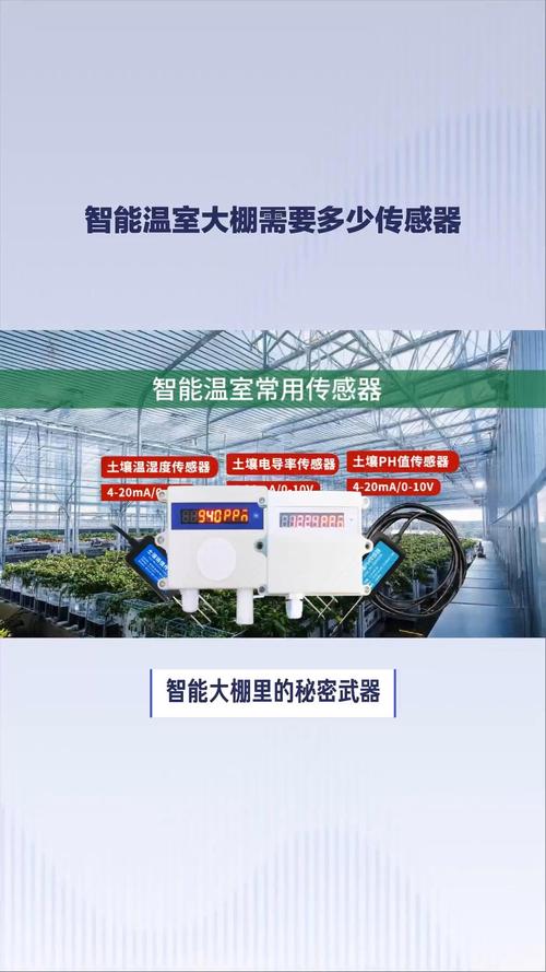 温室大棚温度监测技术如何精准控温?-图3 温室大棚温度监测技术如何精准控温?-图3