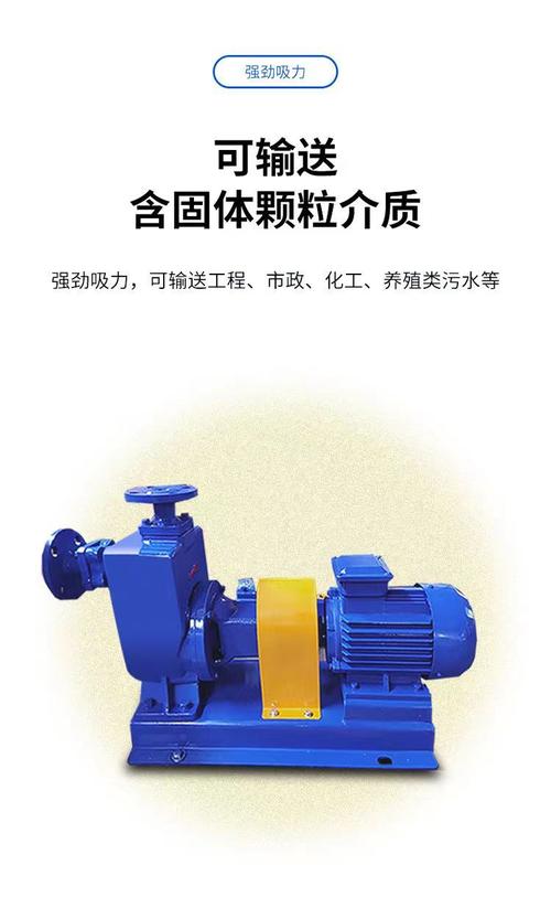自吸无堵塞排污泵品牌哪家好？-图2