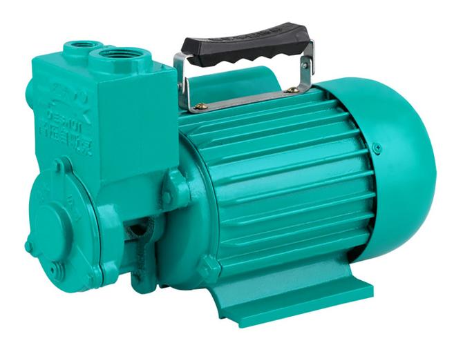 自吸无堵塞排污泵品牌哪家好？-图3