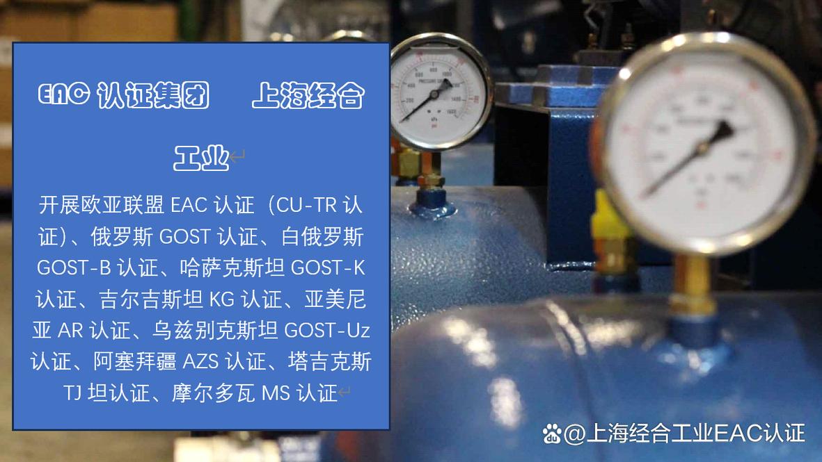 eac认证 技术护照-图3