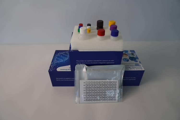 单细胞建库试剂盒品牌-图2