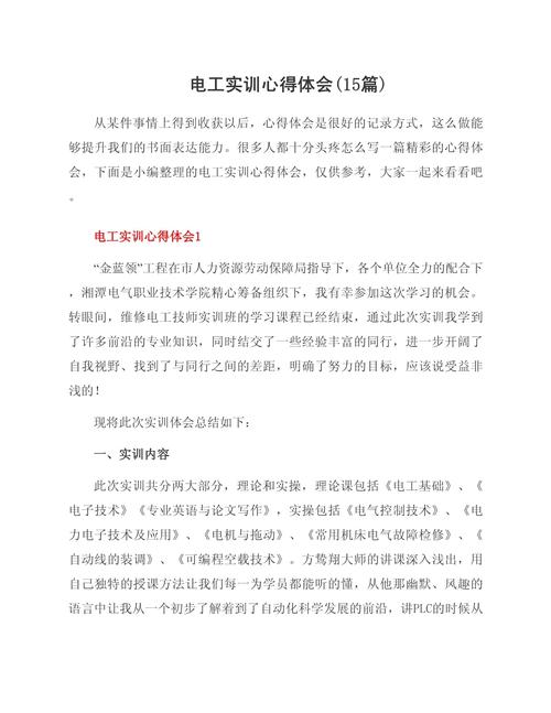 电机技术与维修实训总结有何收获？-图2