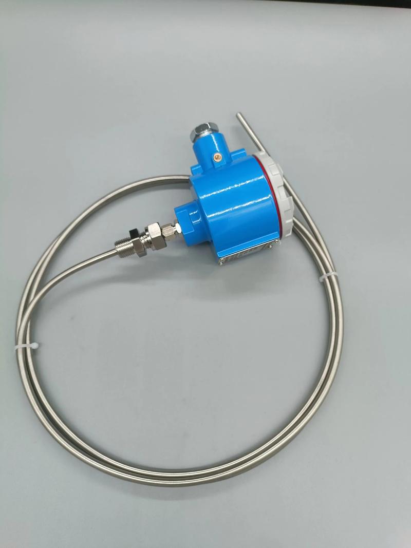 热电偶热电阻进口品牌如何选？-图3