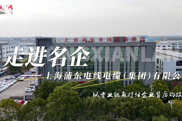 上海小品牌电线电缆厂质量如何？-图2