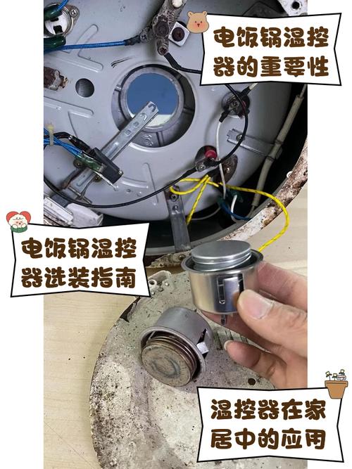 哪些工业温控器品牌过冲小？-图3