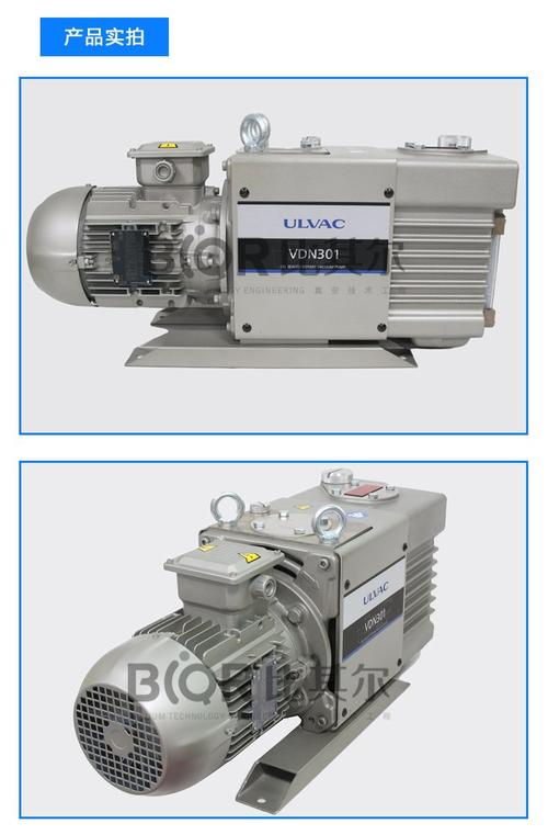 进口大抽速真空泵品牌，哪些更值得选？-图2