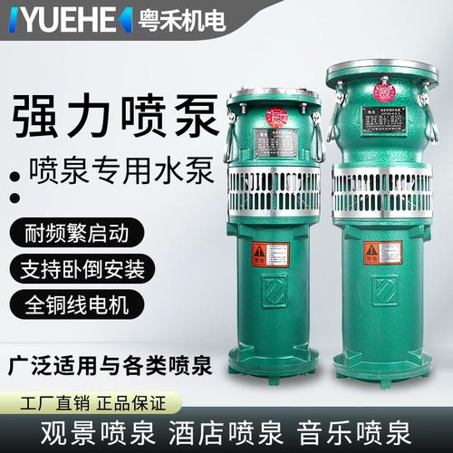 QSP潜水泵十大品牌有哪些？-图1