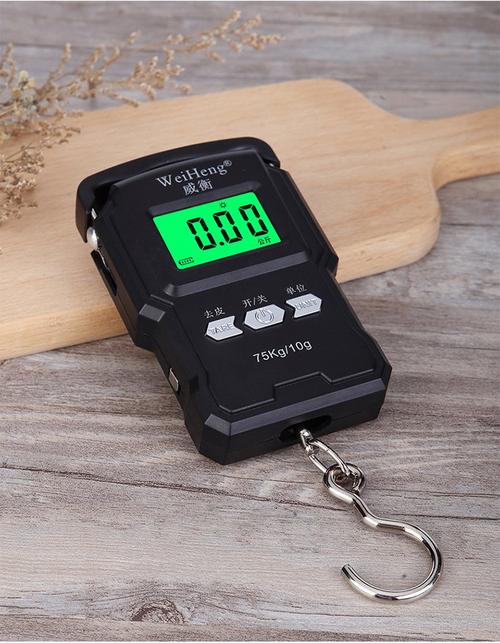 便携式手提电子称品牌哪个好？-图3
