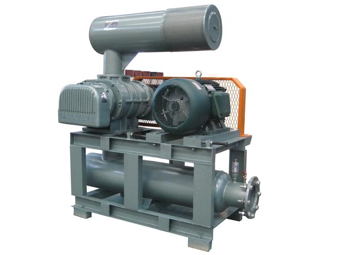 德国罗茨鼓风机有何独特优势？-图1