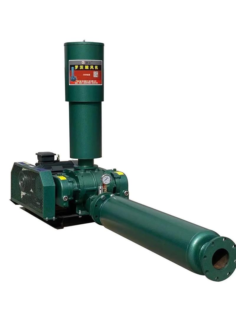 德国罗茨鼓风机有何独特优势？-图2