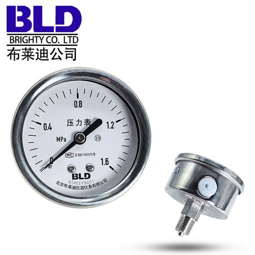 北京布莱迪压力表品牌怎么样？-图3