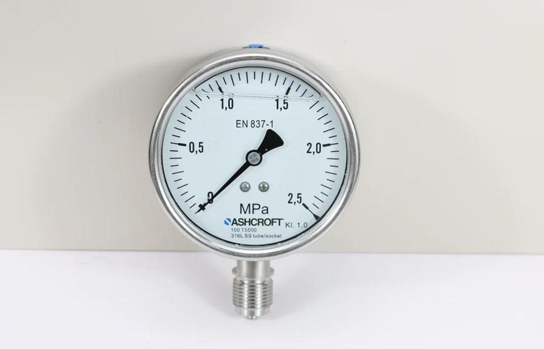 液压压力表什么品牌好-图1