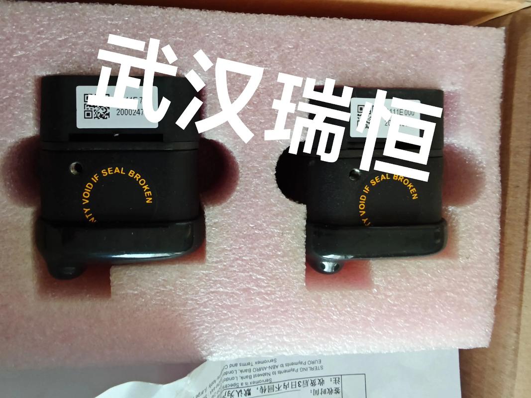 氧中氢分析仪进口品牌如何选？-图2