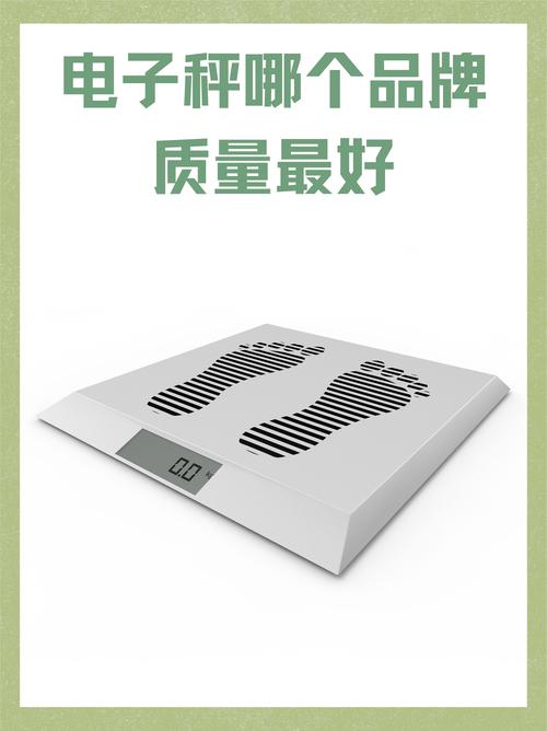 油漆电子秤品牌哪个好？排行榜前十有哪些？-图3