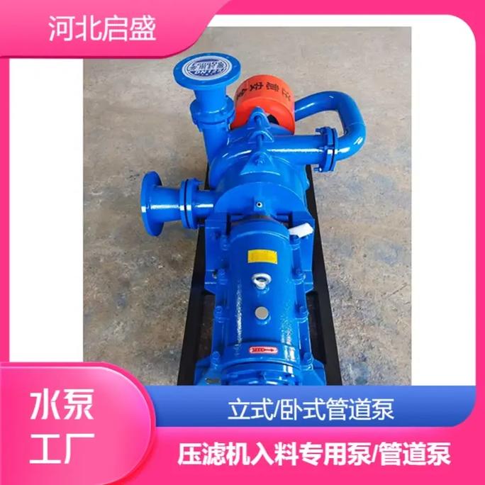 压滤机给料泵品牌厂家哪家好？-图3