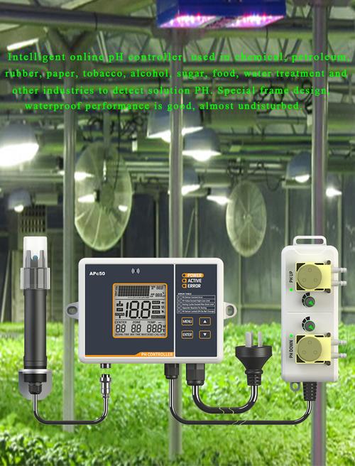 Dual ISO技术如何提升弱光画质？-图3