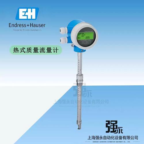 E H质量流量计品牌哪家好？-图1