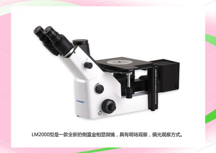 金相显微镜品牌排行榜，哪个品牌更靠谱？-图1