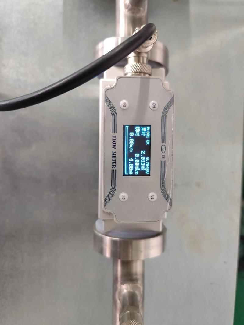 热质式气体流量计品牌哪个好？-图1