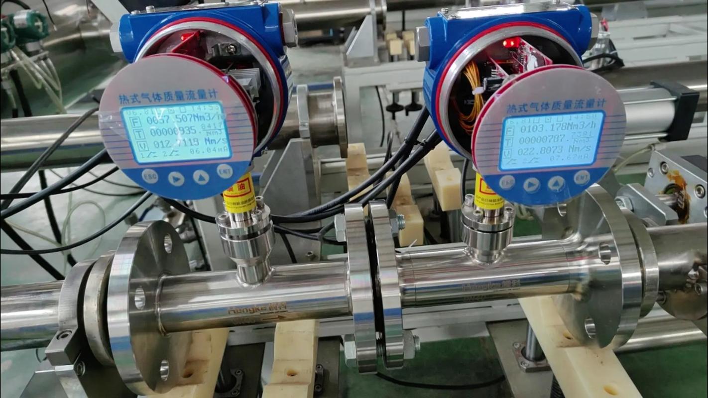 热质式气体流量计品牌哪个好？-图3