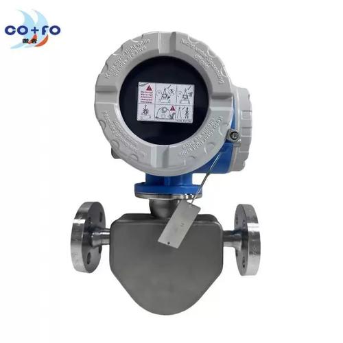 e h品牌质量流量计质量怎么样？-图1