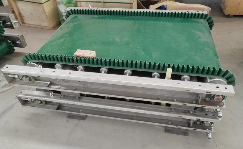 皮带电子秤什么品牌好-图2