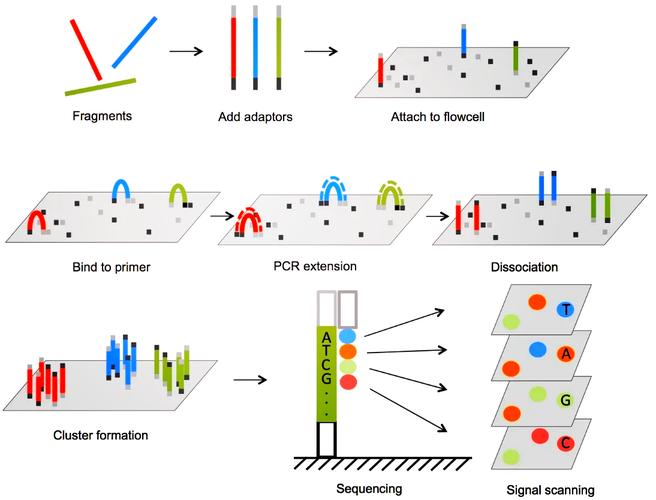 pi丝测试技术如何精准测量?-图2 pi丝测试技术如何精准测量?-图2