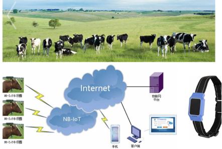 非授权LPWAN技术如何合规应用?-图3 非授权LPWAN技术如何合规应用?-图3