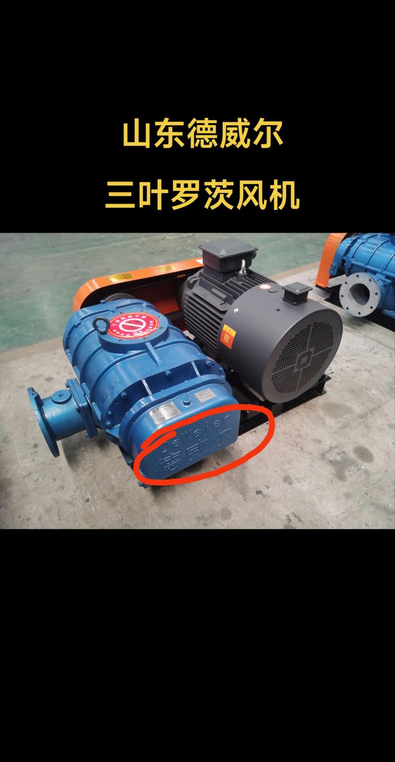 罗茨增机那个品牌更好-图2