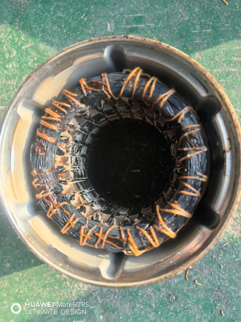 电机内部断路 怎么维修-图1