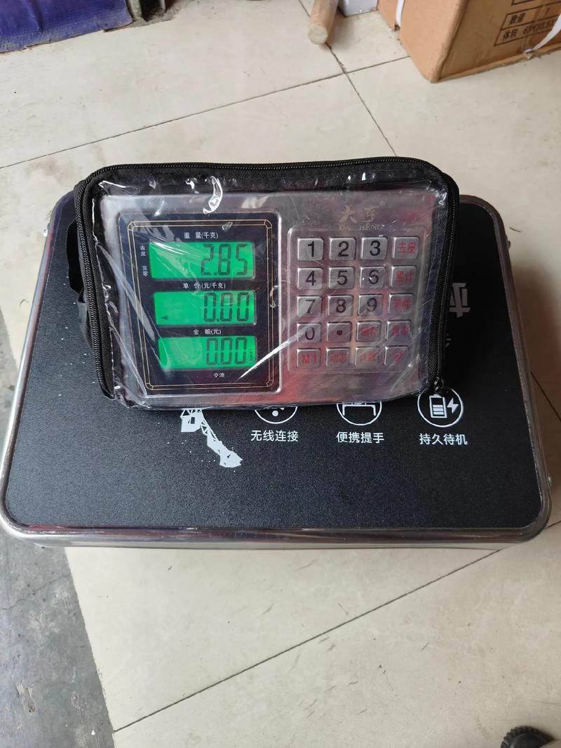 常州无线电子吊秤品牌哪家好？-图1