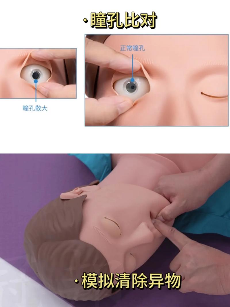 心肺复苏模拟人品牌天，如何选对品牌？-图1