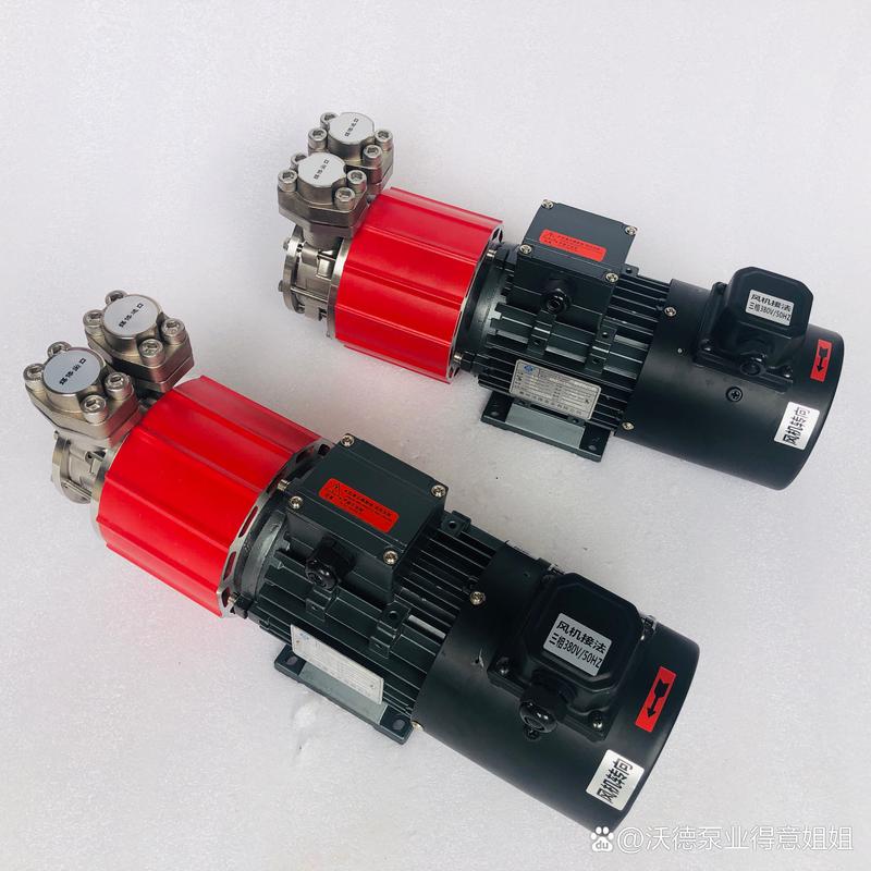 惠州耐腐蚀磁力泵品牌哪家好?-图1 惠州耐腐蚀磁力泵品牌哪家好?-图1