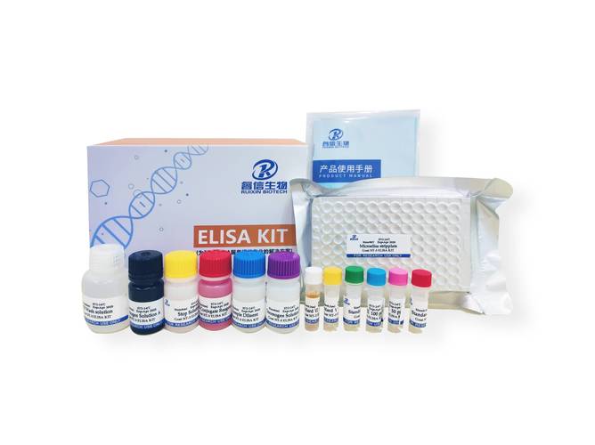 质粒提取试剂盒品牌怎么选？-图3